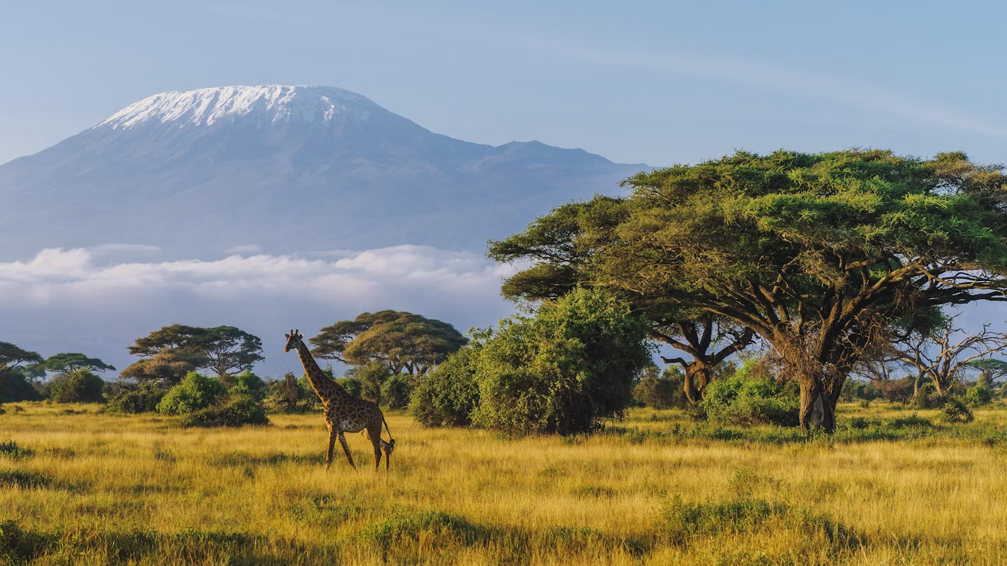 Africa