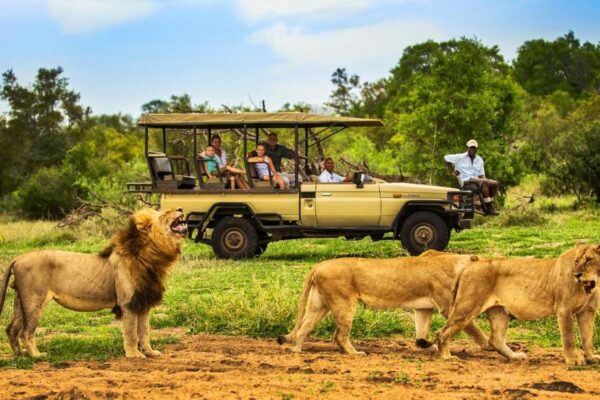 5-Day Khoka Moya Safari