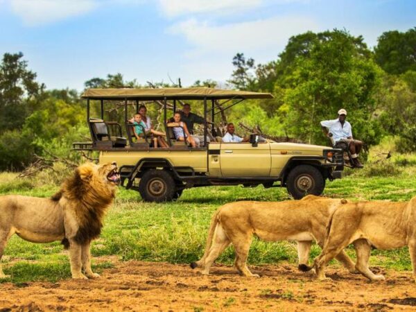 5-Day Khoka Moya Safari
