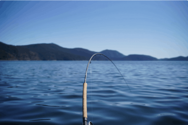 Fishing Charter 6-Hours
