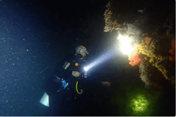 Scuba Diving at Dusk in Unawatuna