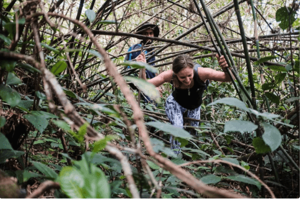 Trekking to Knuckles Range – UNESCO Mountain Wilderness Adventure