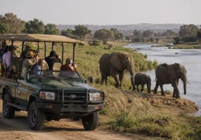 10 Best Safari Tours in Africa for Every Travel Style (2026 Guide)