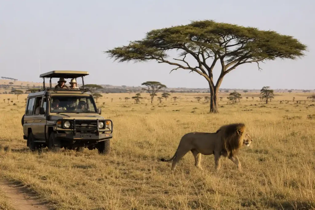 How Much Does a Tanzania Safari Cost (2026 Price Breakdown)