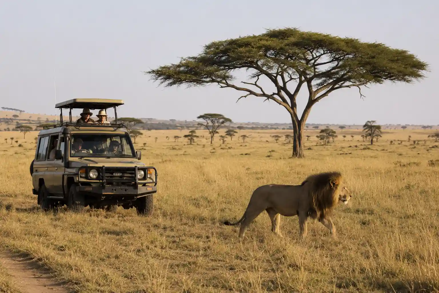 How Much Does a Tanzania Safari Cost (2026 Price Breakdown)