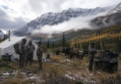 Hunting Canada Cost: 2026 Price Guide & Planning Tips